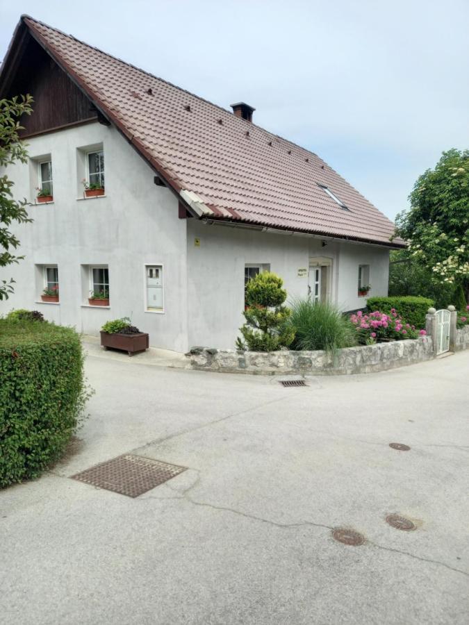 Apartamento Apartmaji Magda Zgornje Gorje Exterior foto