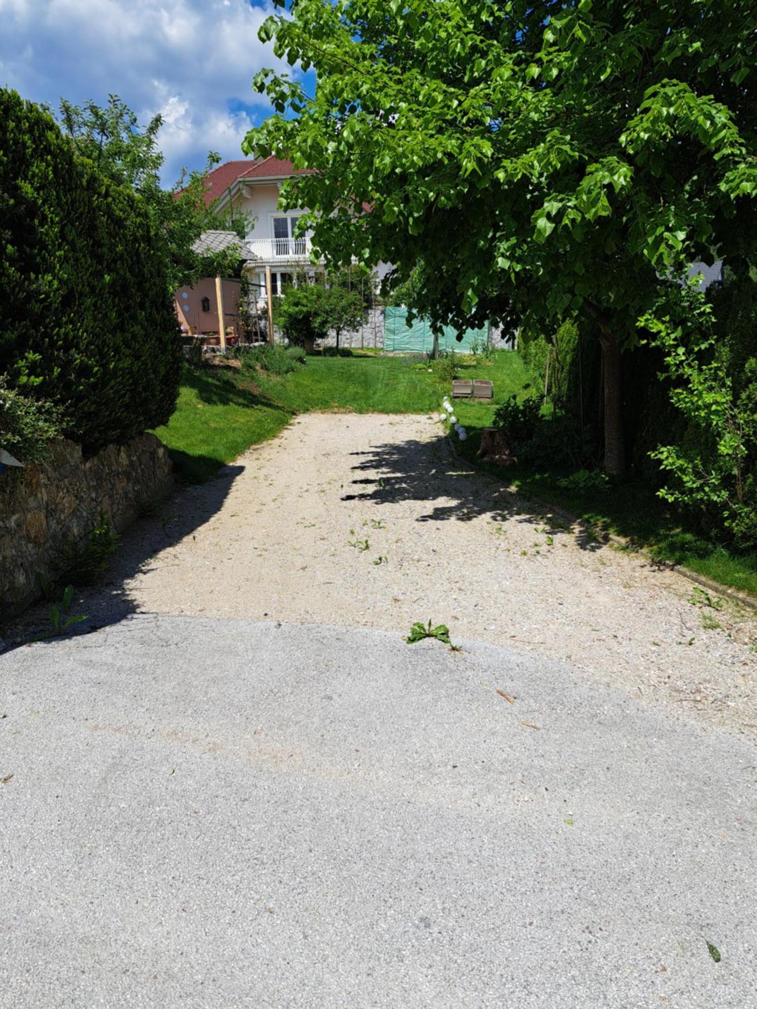 Apartamento Apartmaji Magda Zgornje Gorje Exterior foto